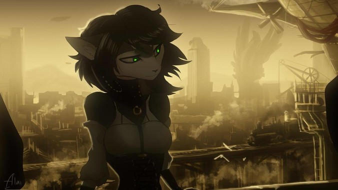 华为中年粉丝都是什么样子的？